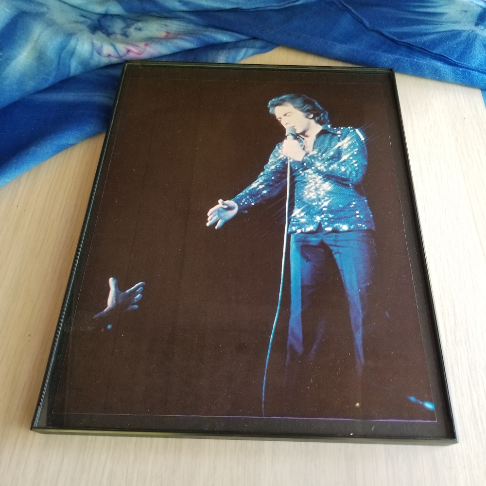 Neil Diamond 1970s Vintage Rock And Roll Wall Decor View 3